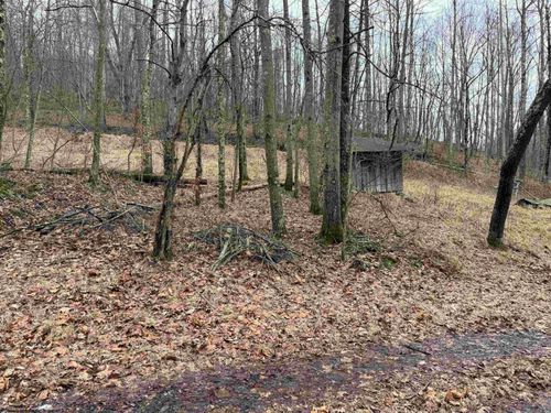 TBD Carrolton Rd, Volga, WV, 26238 | Card Image