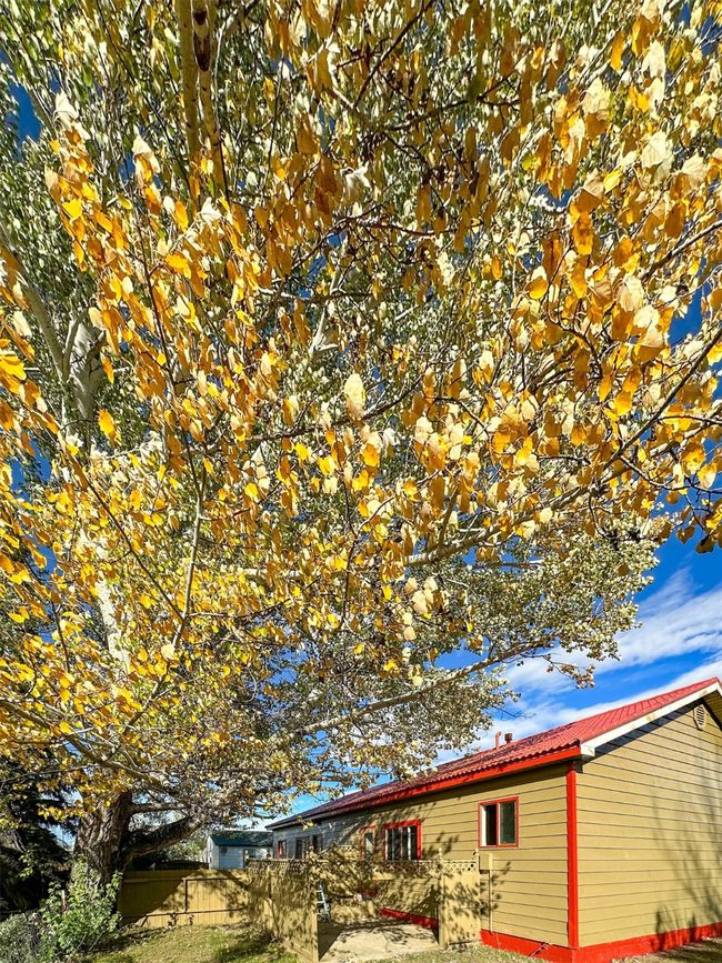 128 and 130 Laura Lane, For Sale in Vaughn Zoocasa