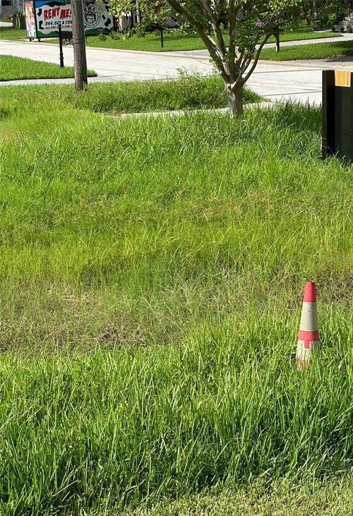 6813 Lyman Ave, TAMPA, FL, 33610-1233 | Card Image