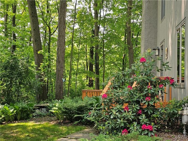 Beautiful flowers and trees | Image 8