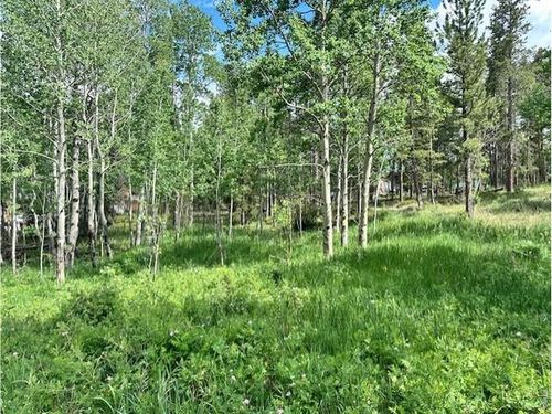 293 Aspen Cir, Black Hawk, CO, 80422-4503 | Card Image