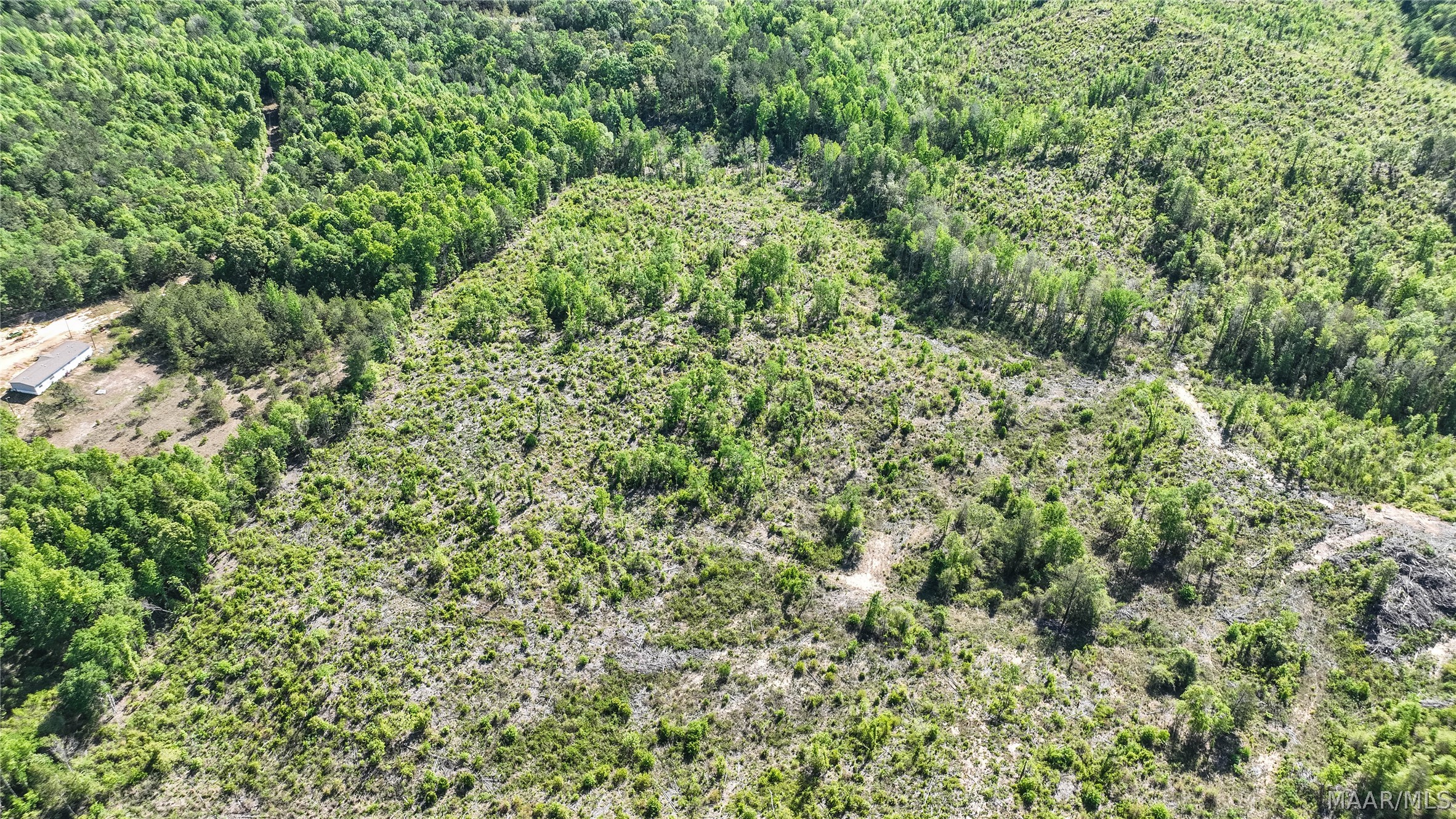 Land in Prattville 2