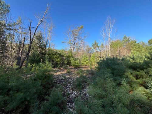 00 Simonsville Rd, Chester, VT, 05143 | Card Image