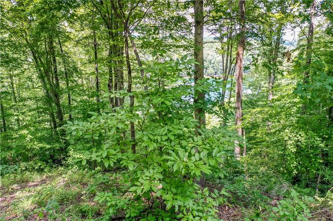 533 Shooting Tree Way, Home with 0 bedrooms, 0 bathrooms and null parking in Salem SC | Image 14