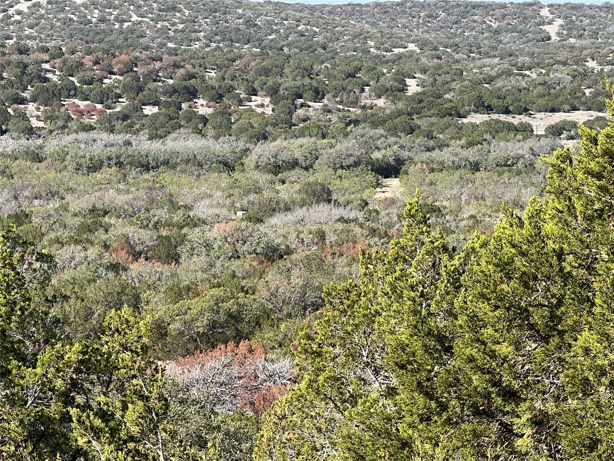 Land in Rocksprings 5