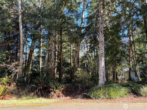 336 Hyde Ct Ne, Ocean Shores, WA, 98569-9102 | Card Image