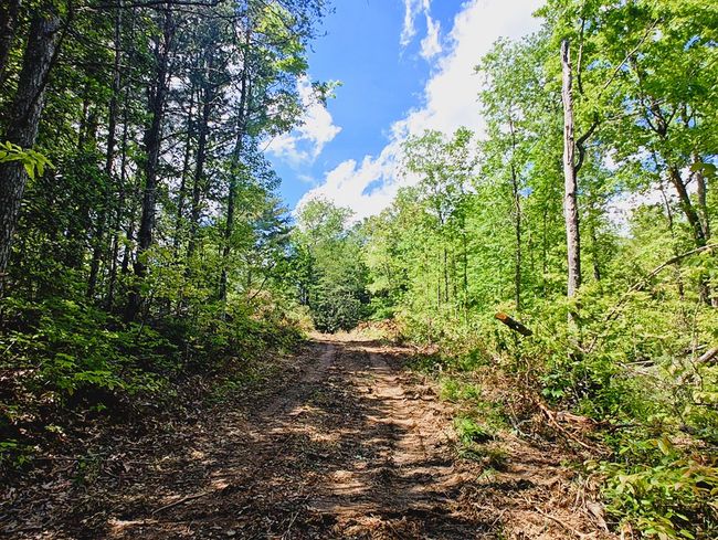 Lot 4 Megan Trace Ln, Home with 0 bedrooms, 0 bathrooms and null parking in Turtletown TN | Image 4