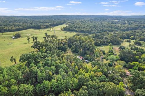 2605 Vz County Road 4923, Ben Wheeler, TX, 75754-4440 | Card Image