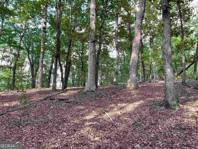 0 Peach Orchard Dr, Home with 0 bedrooms, 0 bathrooms and null parking in Alto GA | Image 27