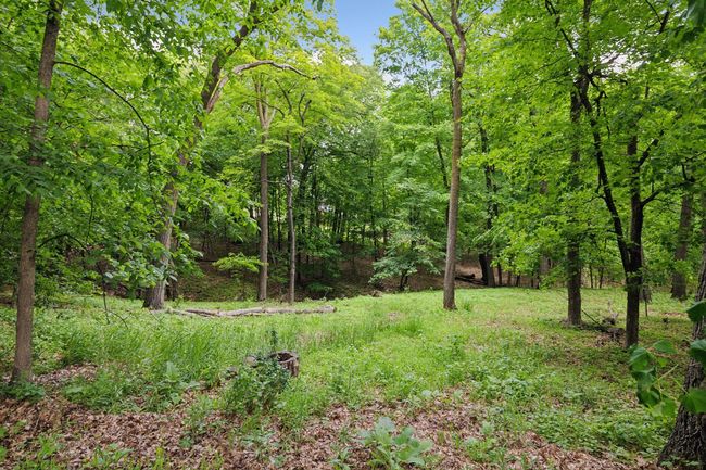 1405 W Farm Rd, House other with 5 bedrooms, 5 bathrooms and null parking in Chaska MN | Image 81