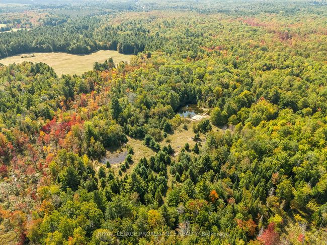 00 Highway 41, Home with 0 bedrooms, 0 bathrooms and null parking in Kaladar ON | Image 21