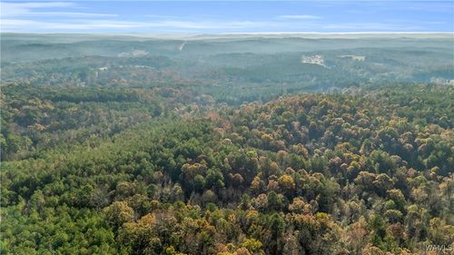 661 Cedar Tree Rd, Vernon, AL, 35592-3662 | Card Image