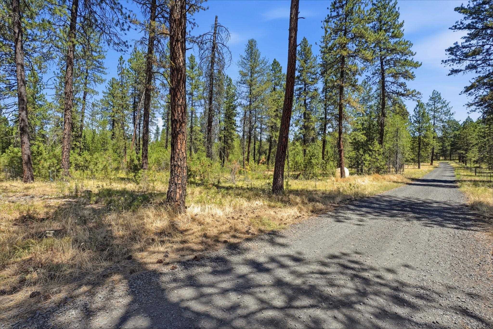 Land in Chattaroy 5