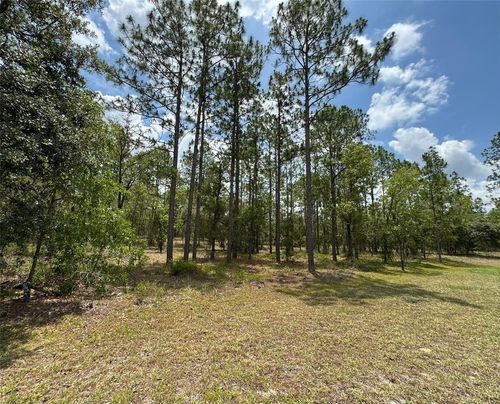Lot 15 Sw Neptune Blvd, Dunnellon, FL, 34431 | Card Image