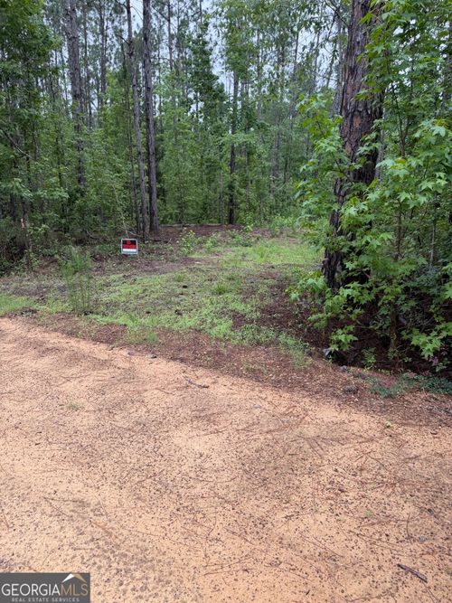 0 Highway 46, Cadwell, GA, 31009 | Card Image