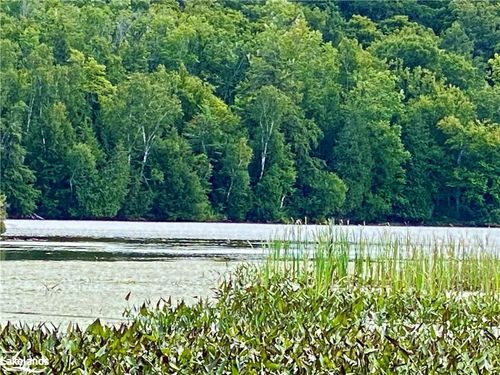 151 Maple Dr, Loring, ON, P0H1S0 | Card Image