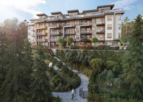 {{alt}} | Card Image