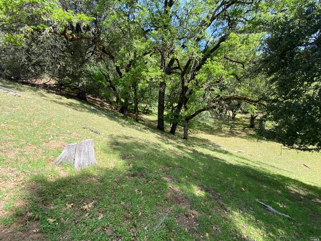 19010 Hulbert Rd, Home with 0 bedrooms, 0 bathrooms and null parking in Yorkville CA | Image 17