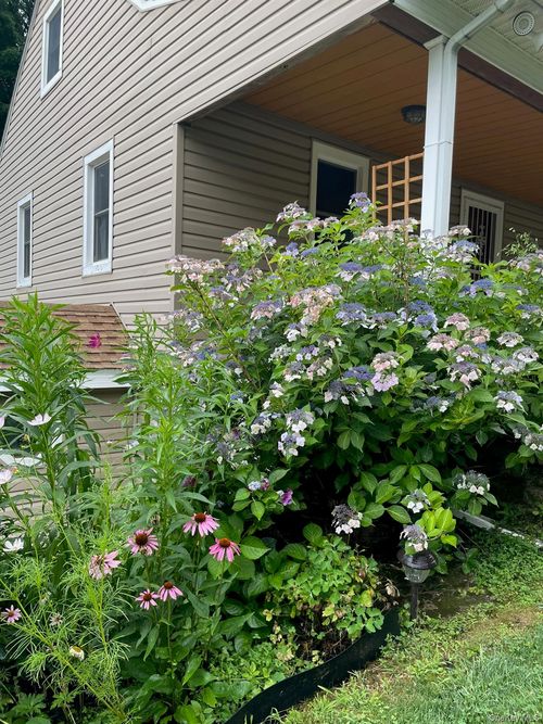 12 Anita Ct, Kingston, NY, 12401-7113 | Card Image