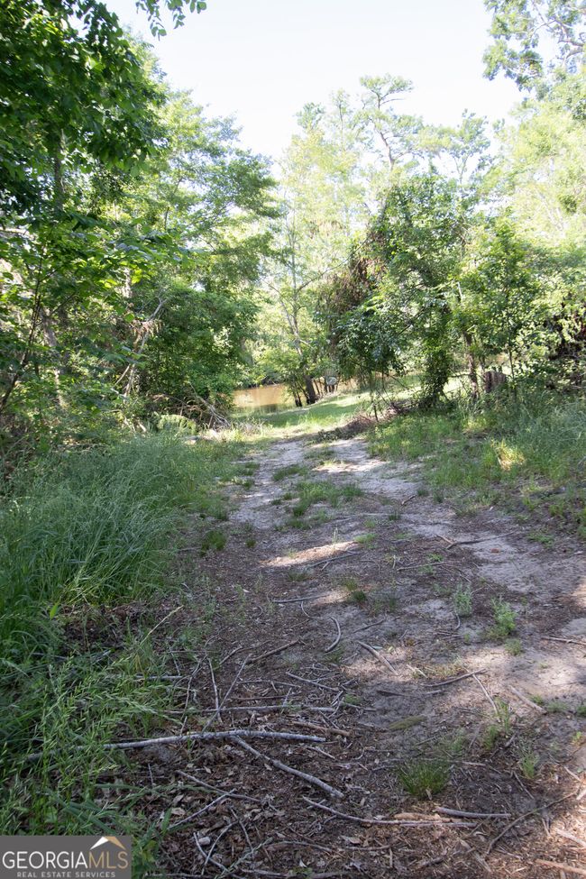 LOT 20 The River Landing, Home with 0 bedrooms, 0 bathrooms and null parking in Midville GA | Image 28