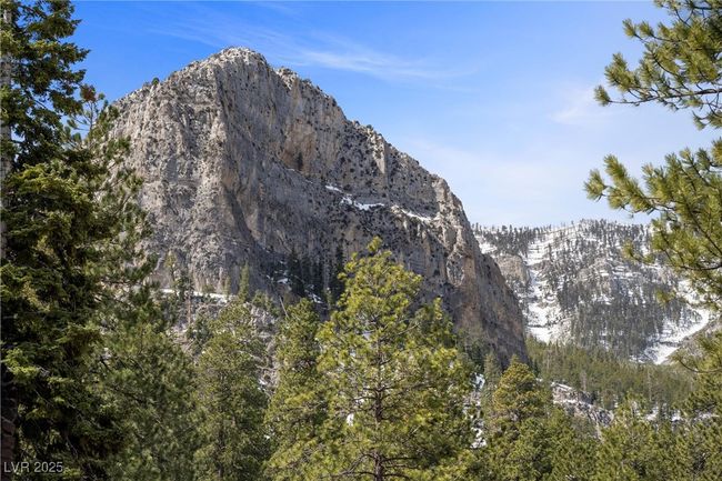 4578 Yellow Pine Ave, House other with 1 bedrooms, 1 bathrooms and null parking in Mount Charleston NV | Image 37