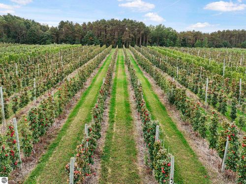 8200 W Empire Hwy, Empire, MI, 49630 | Card Image