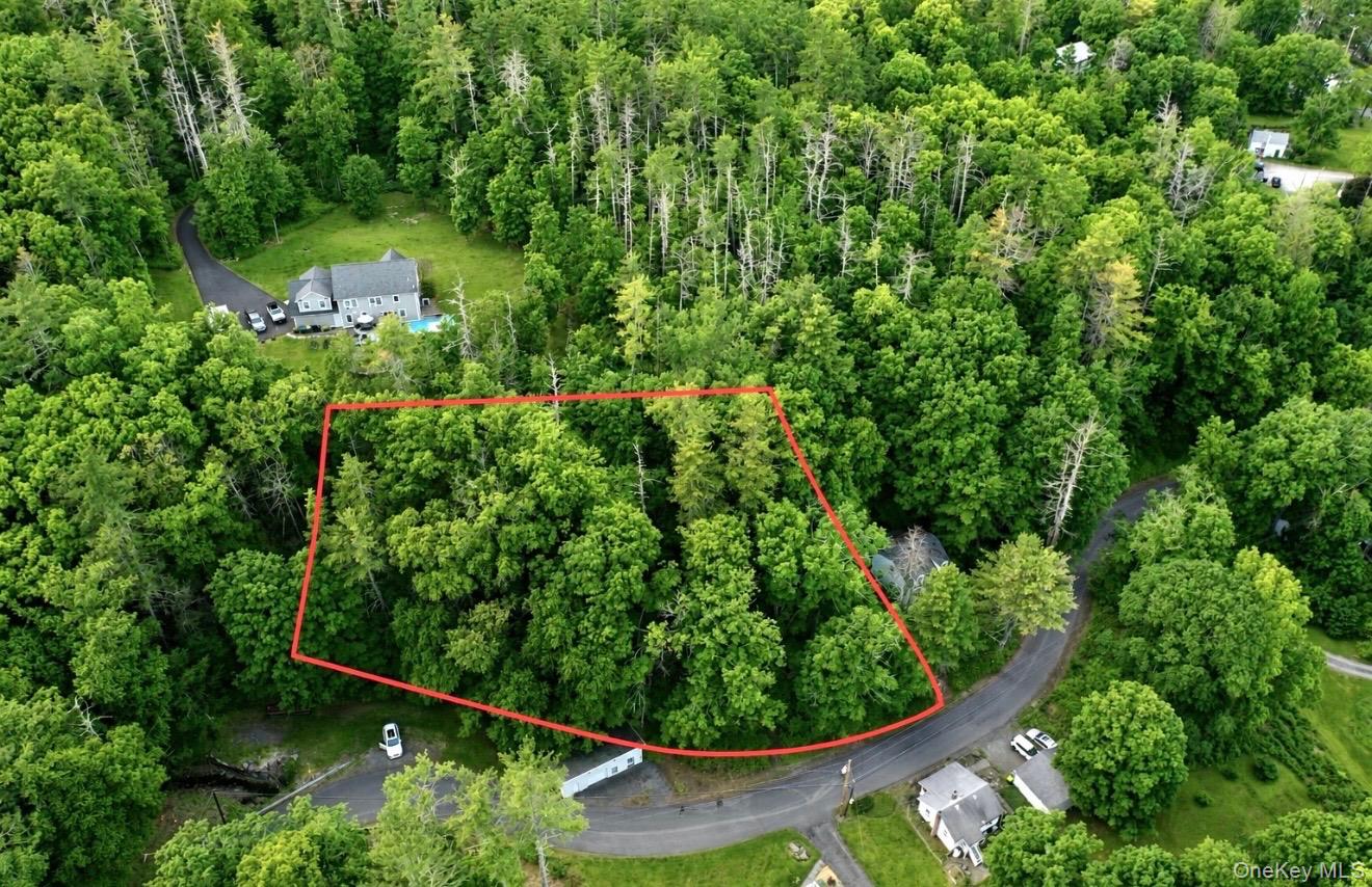 Land in Kingston