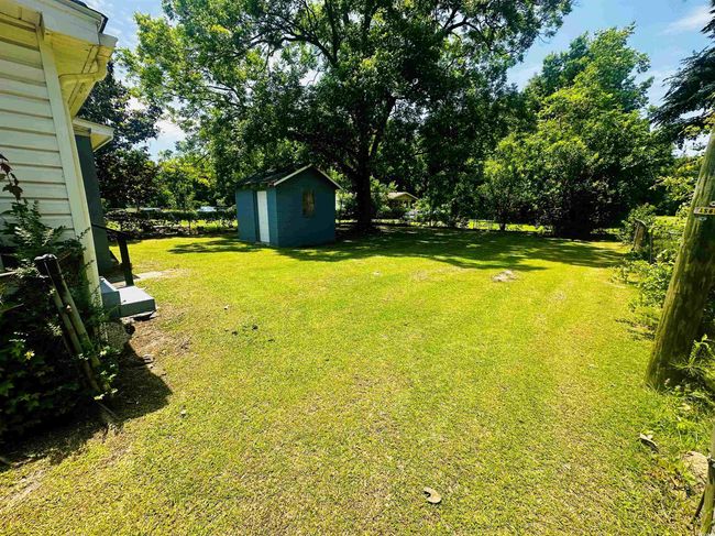View of grassy yard | Image 15