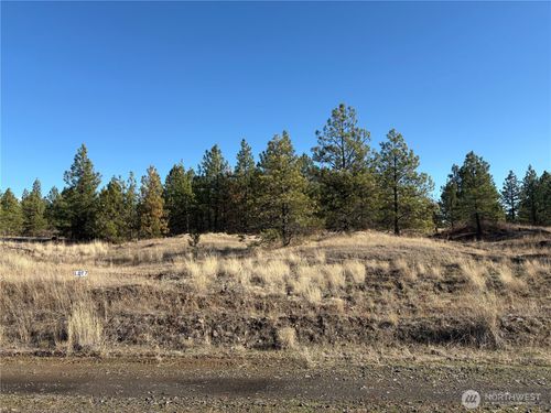 lot-7-35350 Prairie Ln N, Creston, WA, 99117 | Card Image