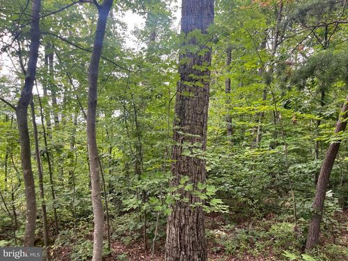 Lot 3 Tomahawk Ln, Edinburg, VA, 22824-3515 | Card Image