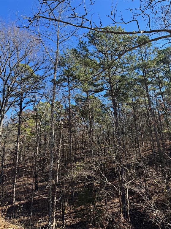 Land in Broken Bow 2