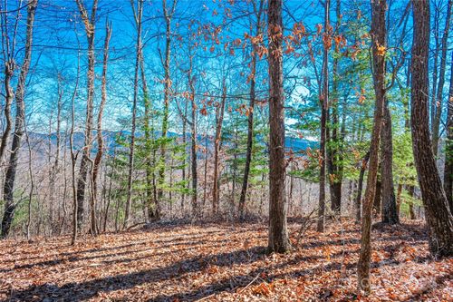 99999 Mount Olivet Rd, Zirconia, NC, 28790 | Card Image
