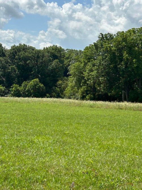 Lucy Lane Lot 3 Lucy Ln, Cynthiana, KY, 41031 | Card Image