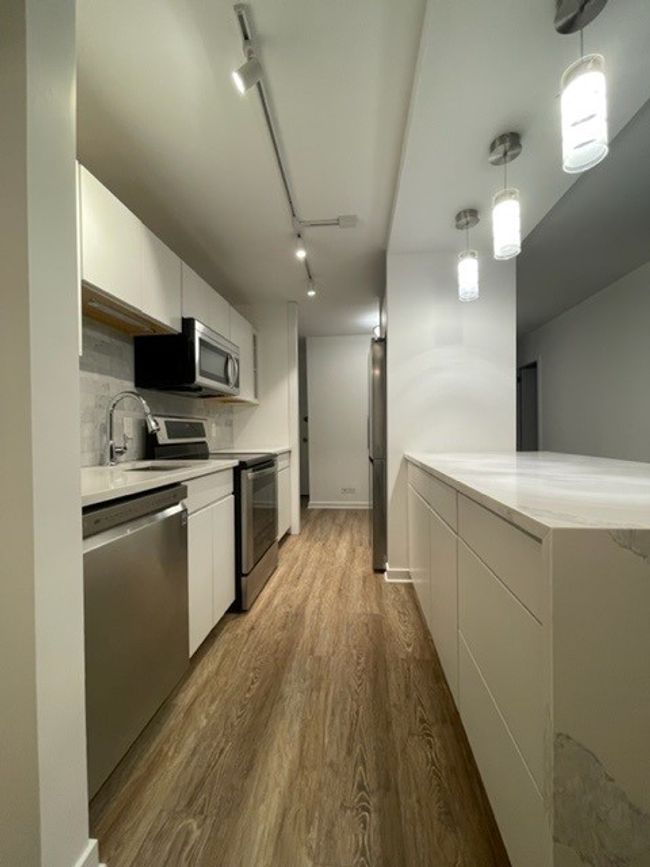 APT-601C - 1360 N Sandburg Ter, Home with 2 bedrooms, 2 bathrooms and null parking in Chicago IL | Image 10