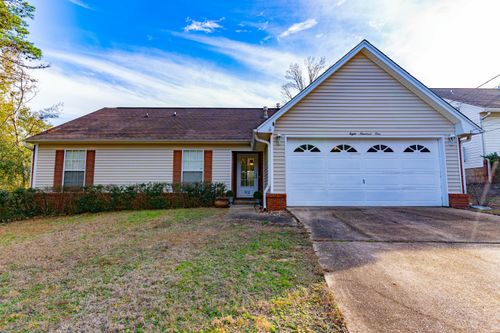 801 Sparkleberry Cv, Niceville, FL, 32578-1869 | Card Image