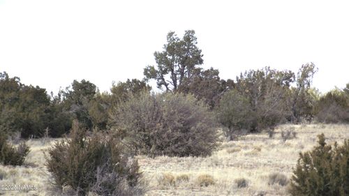1255 W Half Hitch Rd, Williams, AZ, 86046 | Card Image