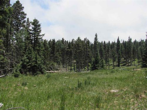 22 Hinz Dr, Angel Fire, NM, 87710 | Card Image