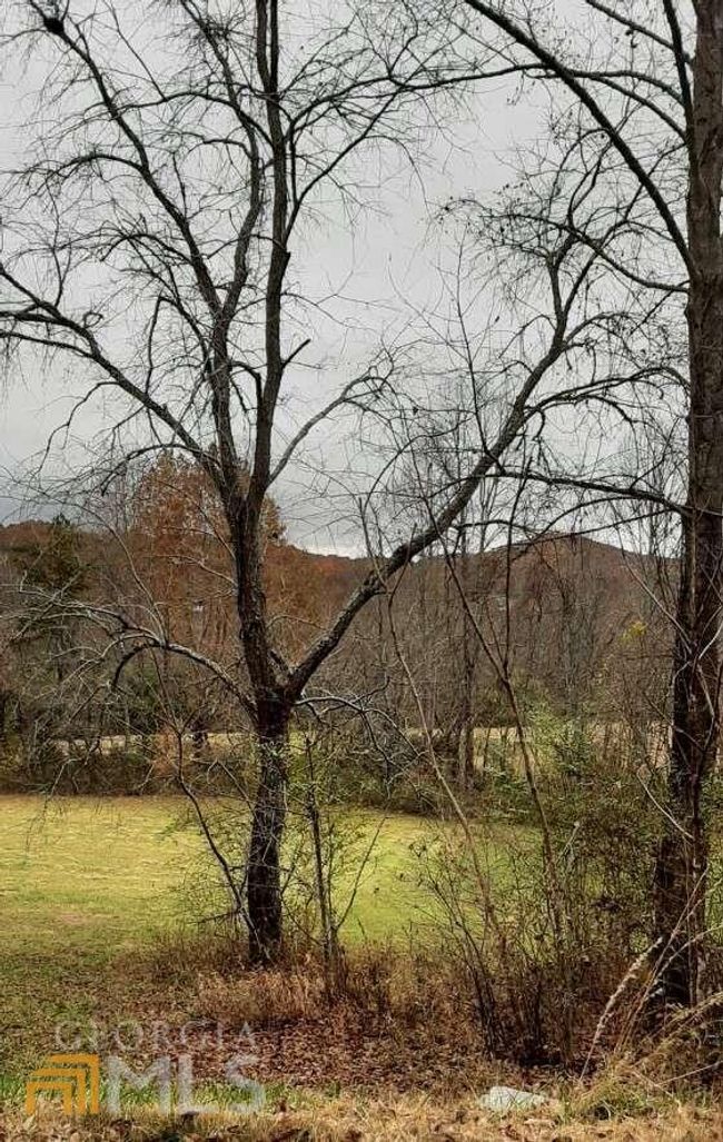 177 - 0 Owen Glenn Dr, Home with 0 bedrooms, 0 bathrooms and null parking in Blairsville GA | Image 11