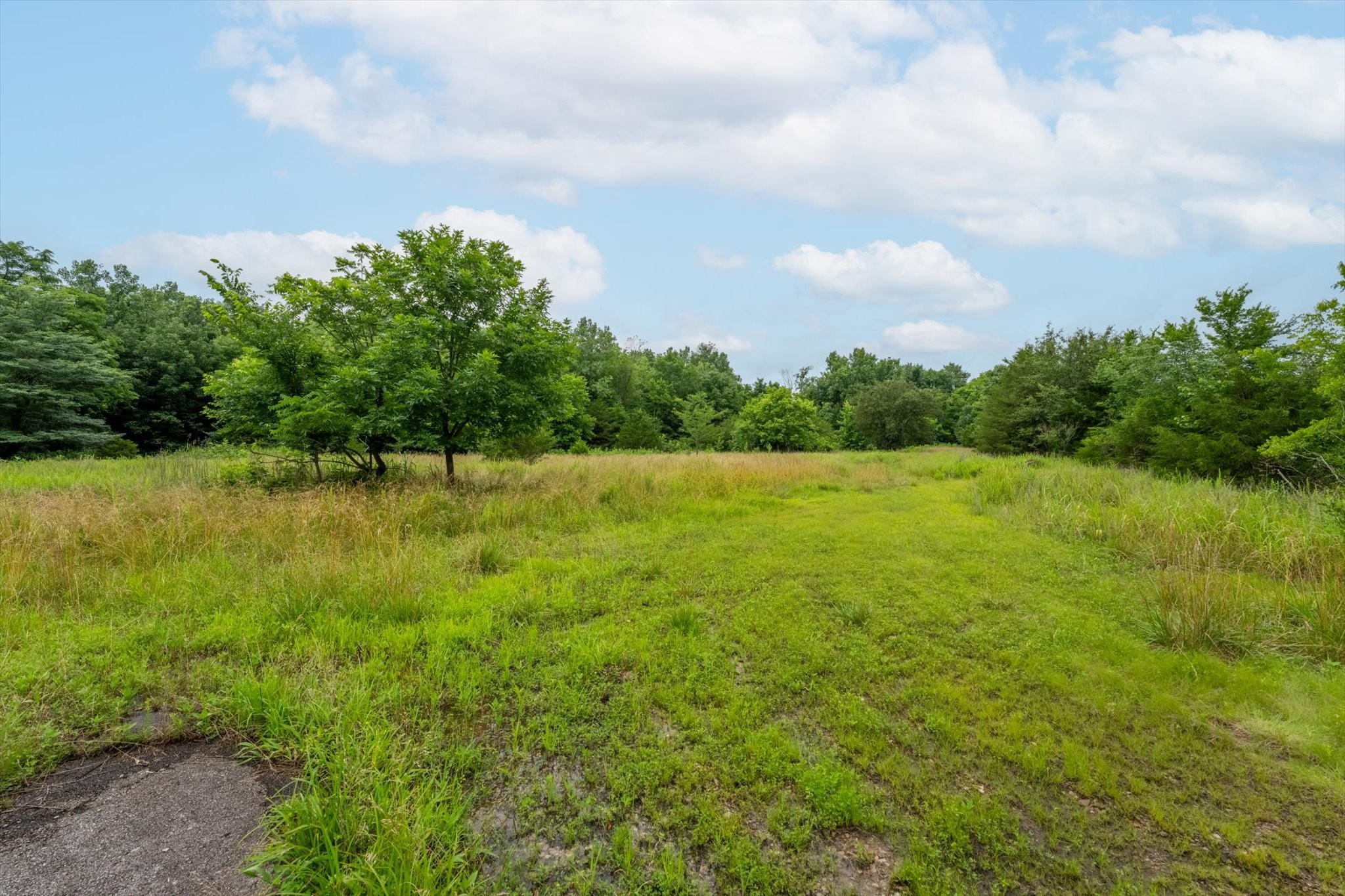 Commercial Sale in Clarksville 3