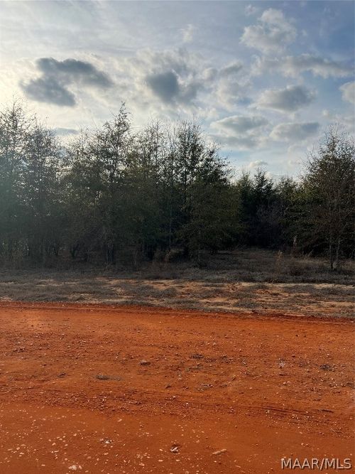 Lot 21 Deer Loop, Camden, AL, 36726 | Card Image