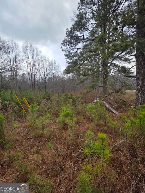 5534 Steadman Rd, Tallapoosa, GA, 30176 | Card Image