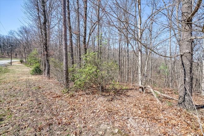 0 Lots 734 & 735 Renegade Pkwy, Home with 0 bedrooms, 0 bathrooms and null parking in Crab Orchard TN | Image 5