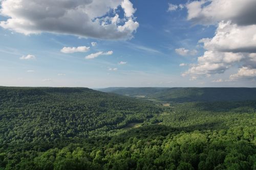 3 Blackberry Road, Beersheba Springs, TN, 37305 | Card Image
