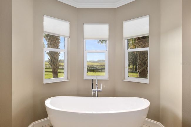 Anyone for a bubble bath!! | Image 50