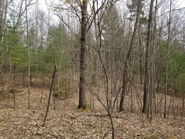 15 W 12 Mile Rd, Home with 0 bedrooms, 0 bathrooms and null parking in Irons MI | Image 21