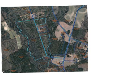 TBD Dan Dr, Hamer, SC, 29547 | Card Image