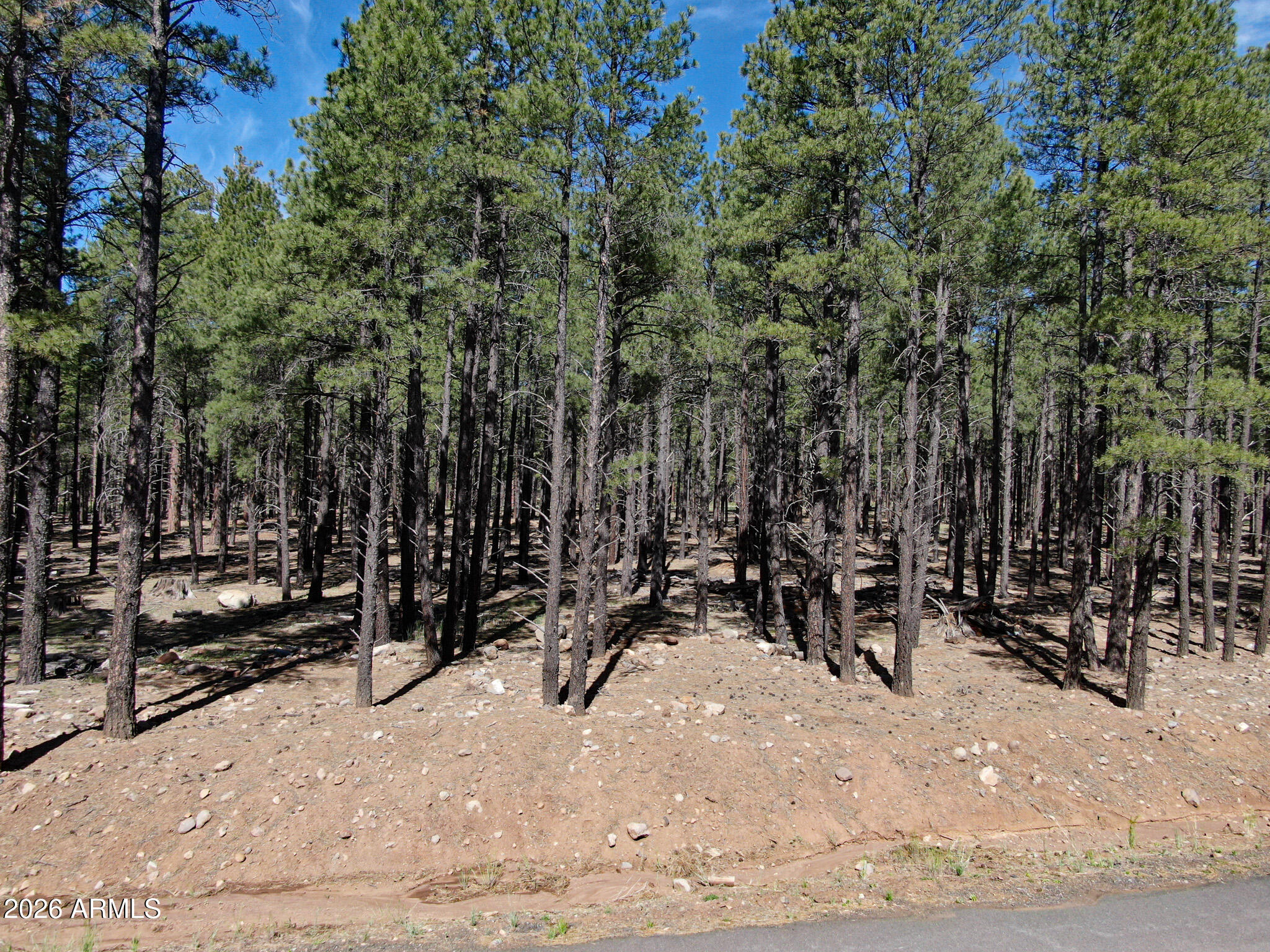 Land in Flagstaff 2