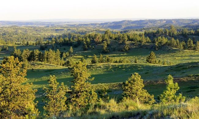 SC-28 - TBD Lone Rock Canyon Lane, Home with 0 bedrooms, 0 bathrooms and null parking in Hysham MT | Image 25