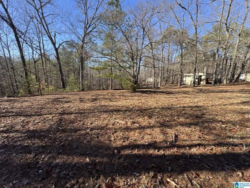 13251-2570 Mount View Road, Hayden, AL, 35079 | Card Image