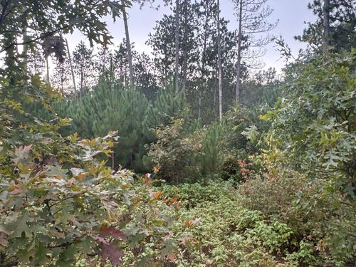 TBD Hayden Lake Rd, Danbury, WI, 54830 | Card Image